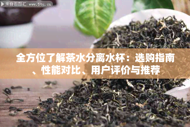 全方位了解茶水分离水杯：选购指南、性能对比、用户评价与推荐