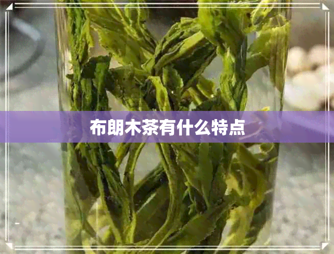 布朗木茶有什么特点