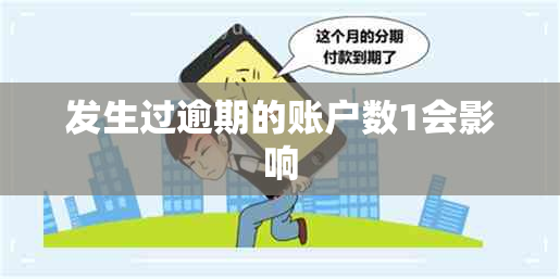 发生过逾期的账户数1会影响