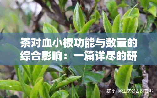 茶对血小板功能与数量的综合影响：一篇详尽的研究解析