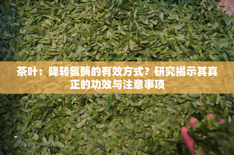 茶叶：降转氨酶的有效方式？研究揭示其真正的功效与注意事项