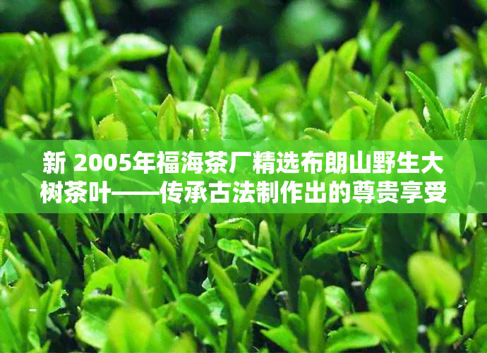 新 2005年福海茶厂精选布朗山野生大树茶叶——传承古法制作出的尊贵享受