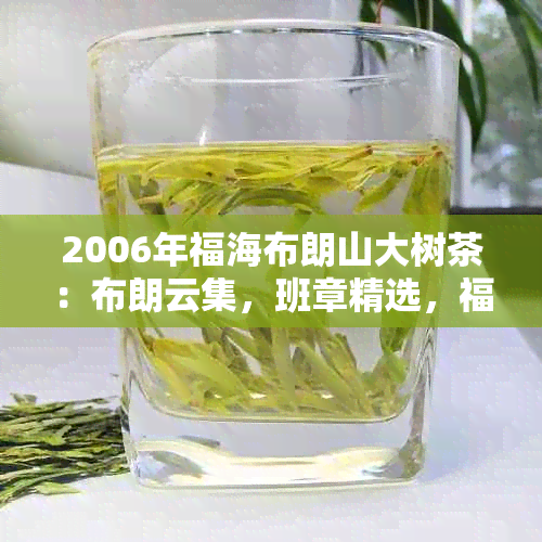 2006年福海布朗山大树茶：布朗云集，班章精选，福字号传承