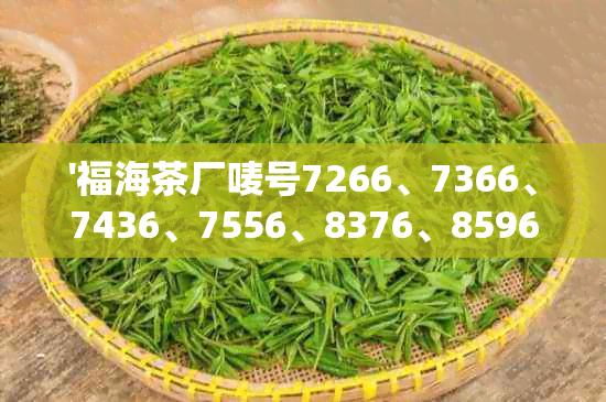 '福海茶厂唛号7266、7366、7436、7556、8376、8596'