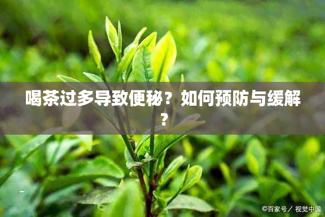 喝茶过多导致便秘？如何预防与缓解？