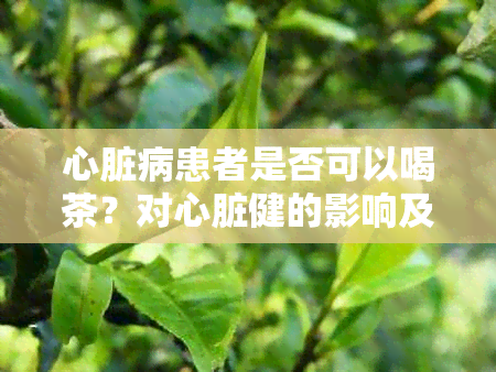 心脏病患者是否可以喝茶？对心脏健的影响及注意事项