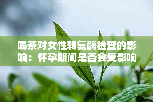 喝茶对女性转氨酶检查的影响：怀孕期间是否会受影响？