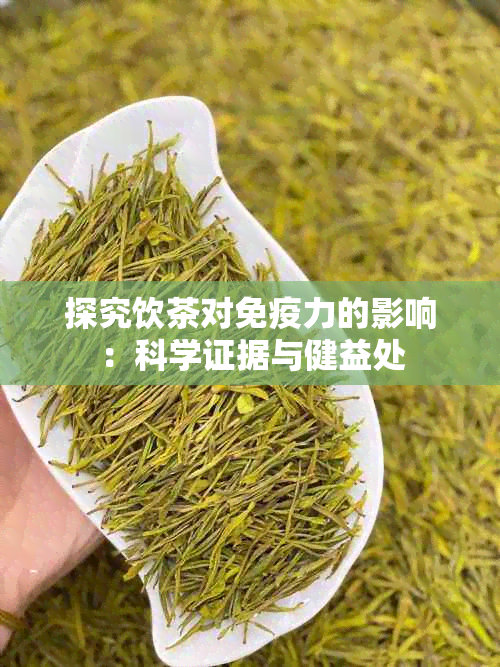 探究饮茶对免疫力的影响：科学证据与健益处