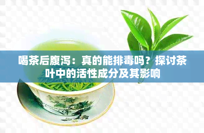 喝茶后腹泻：真的能排吗？探讨茶叶中的活性成分及其影响