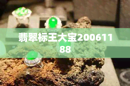 翡翠标王大宝20061188