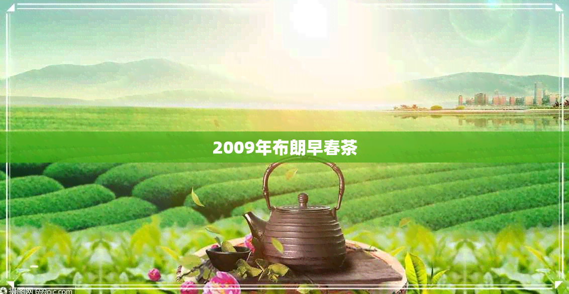 2009年布朗早春茶