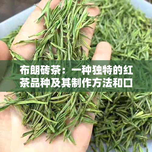 布朗砖茶：一种独特的红茶品种及其制作方法和口感详解