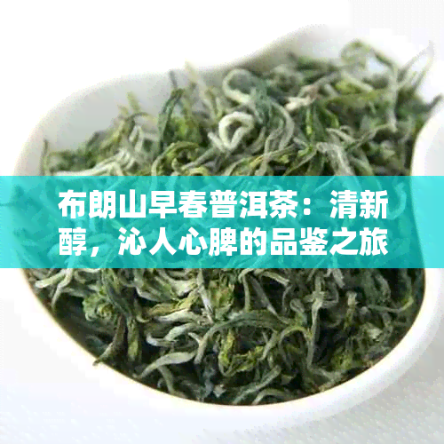 布朗山早春普洱茶：清新醇，沁人心脾的品鉴之旅