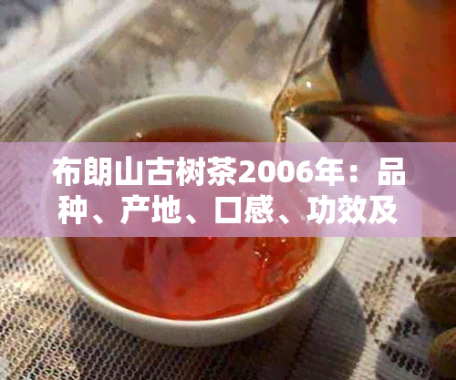 布朗山古树茶2006年：品种、产地、口感、功效及选购指南