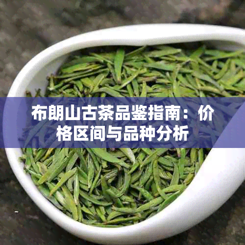 布朗山古茶品鉴指南：价格区间与品种分析