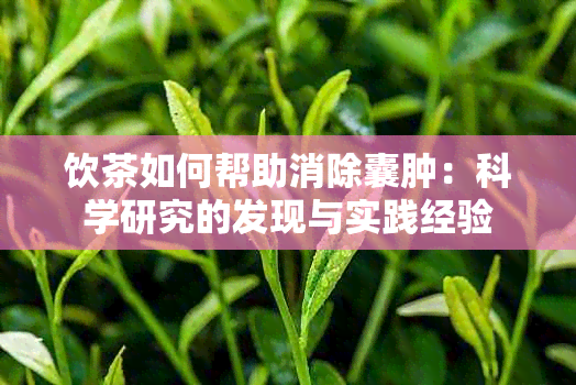 饮茶如何帮助消除囊肿：科学研究的发现与实践经验