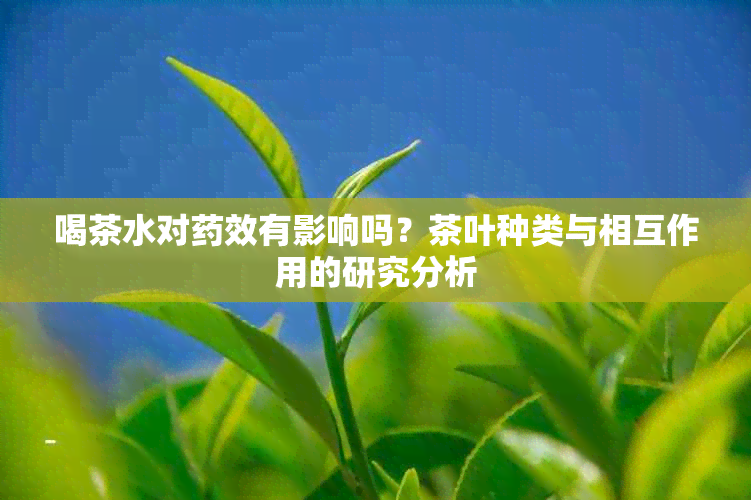 喝茶水对效有影响吗？茶叶种类与相互作用的研究分析