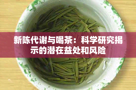 新陈代谢与喝茶：科学研究揭示的潜在益处和风险