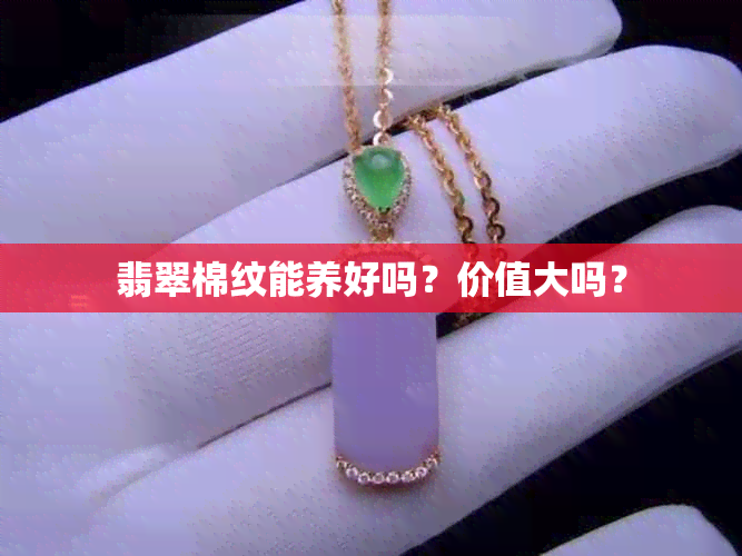 翡翠棉纹能养好吗？价值大吗？