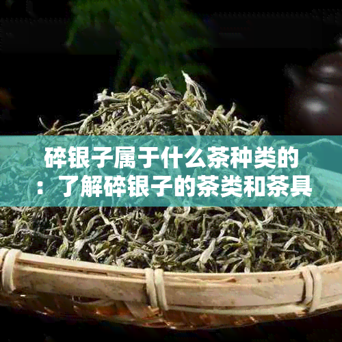 碎银子属于什么茶种类的：了解碎银子的茶类和茶具特性