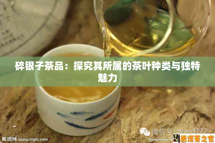 碎银子茶品：探究其所属的茶叶种类与独特魅力