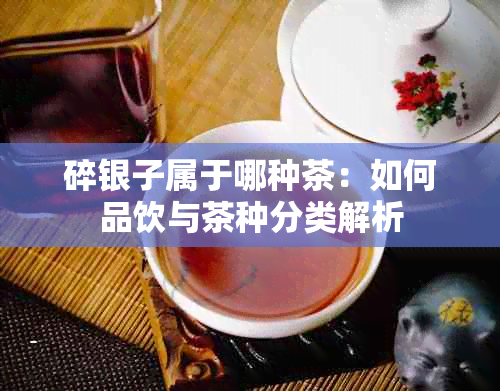 碎银子属于哪种茶：如何品饮与茶种分类解析