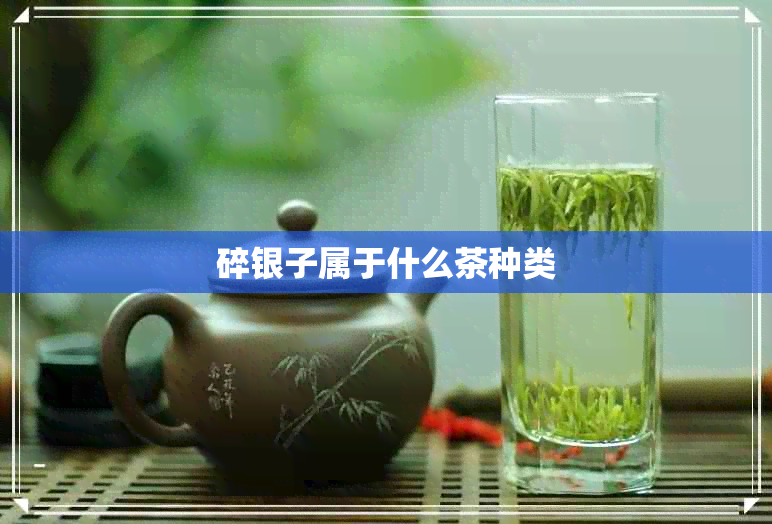 碎银子属于什么茶种类