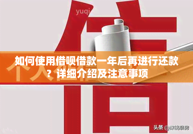 如何使用借呗借款一年后再进行还款？详细介绍及注意事项