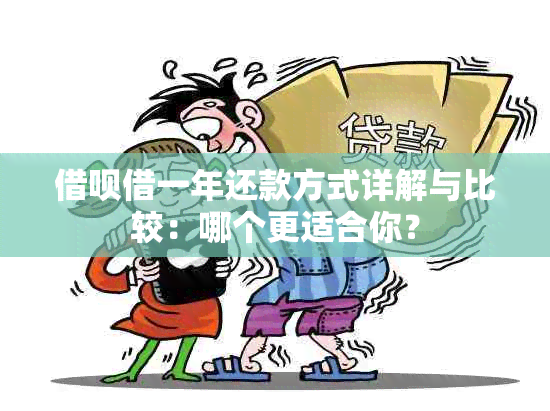 借呗借一年还款方式详解与比较：哪个更适合你？