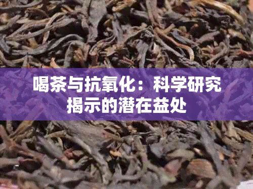 喝茶与抗氧化：科学研究揭示的潜在益处