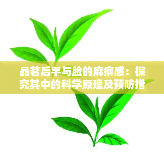 品茗后手与脸的麻痹感：探究其中的科学原理及预防措