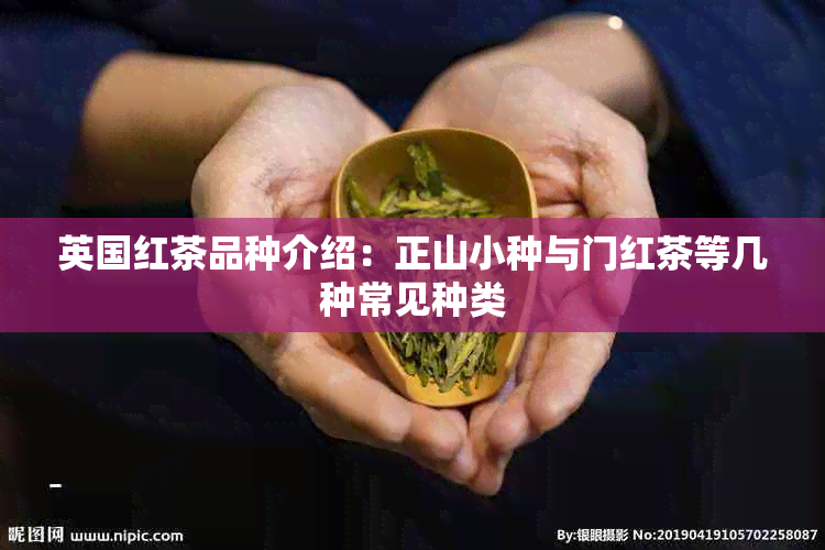 英国红茶品种介绍：正山小种与门红茶等几种常见种类