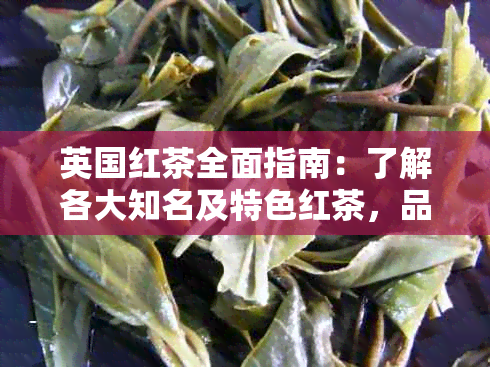 英国红茶全面指南：了解各大知名及特色红茶，品味地道英式红茶风味