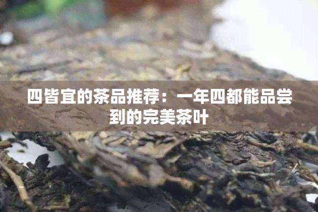 四皆宜的茶品推荐：一年四都能品尝到的完美茶叶