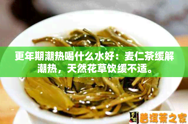 更年期潮热喝什么水好：麦仁茶缓解潮热，天然花草饮缓不适。