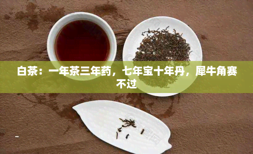 白茶：一年茶三年，七年宝十年丹，犀牛角赛不过