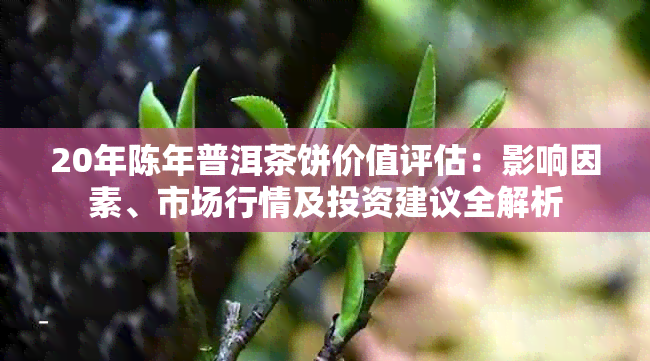 20年陈年普洱茶饼价值评估：影响因素、市场行情及投资建议全解析