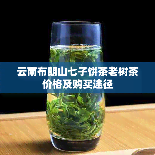 云南布朗山七子饼茶老树茶价格及购买途径