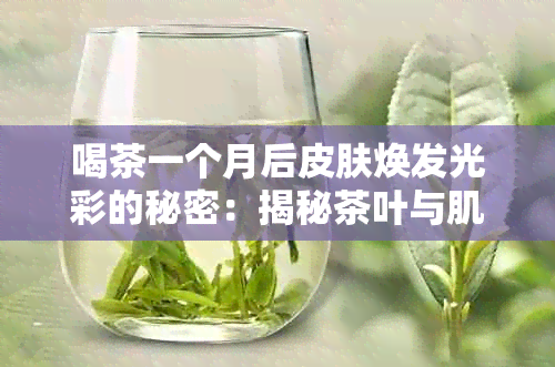 喝茶一个月后皮肤焕发光彩的秘密：揭秘茶叶与肌肤的奇妙互动