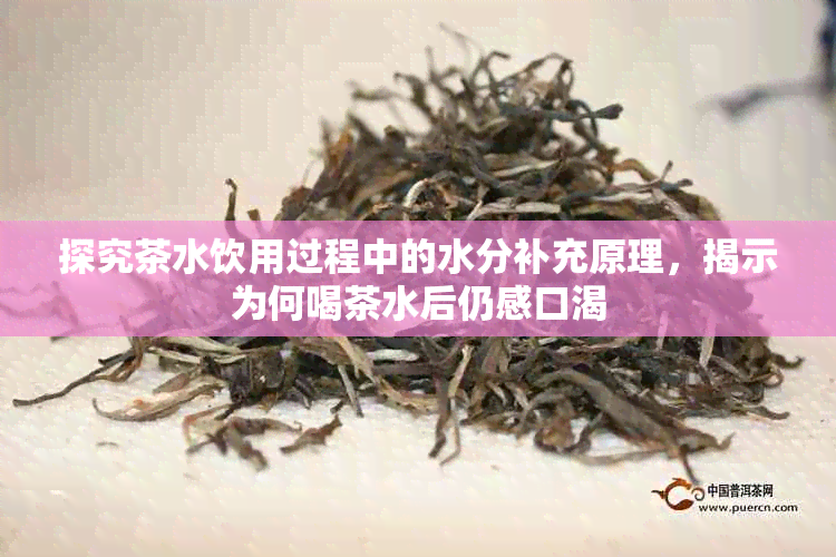 探究茶水饮用过程中的水分补充原理，揭示为何喝茶水后仍感口渴