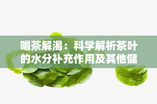 喝茶解渴：科学解析茶叶的水分补充作用及其他健益处