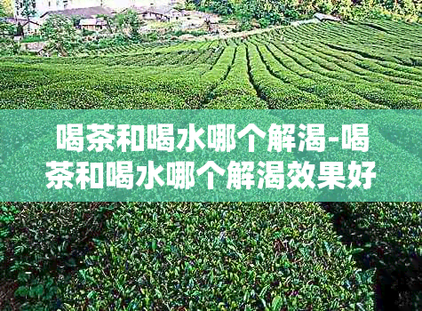 喝茶和喝水哪个解渴-喝茶和喝水哪个解渴效果好