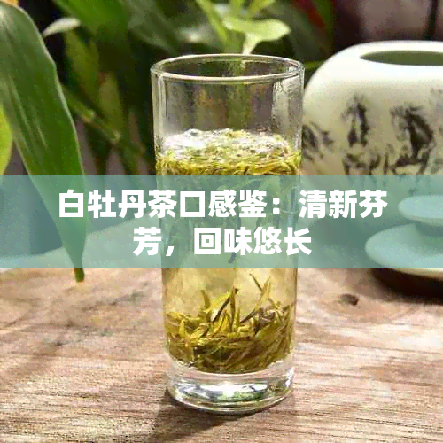 白牡丹茶口感鉴：清新芬芳，回味悠长