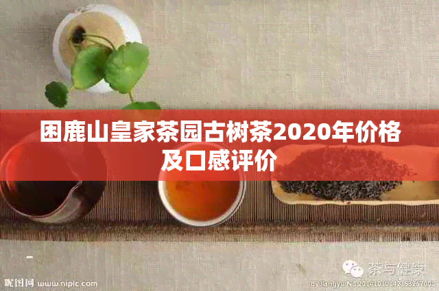 困鹿山皇家茶园古树茶2020年价格及口感评价