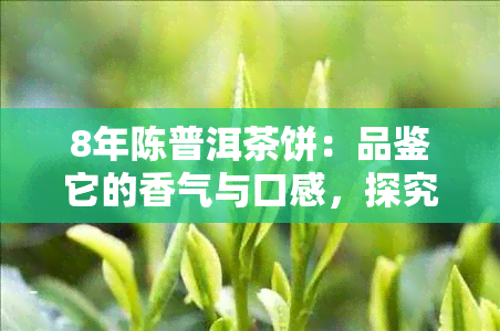 8年陈普洱茶饼：品鉴它的香气与口感，探究存放期限的影响