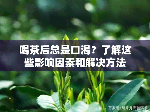 喝茶后总是口渴？了解这些影响因素和解决方法