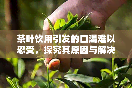 茶叶饮用引发的口渴难以忍受，探究其原因与解决办法