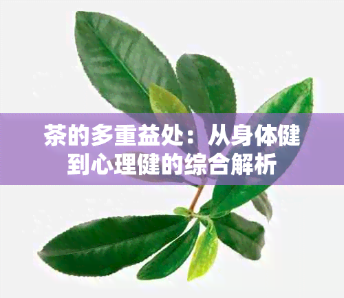 茶的多重益处：从身体健到心理健的综合解析