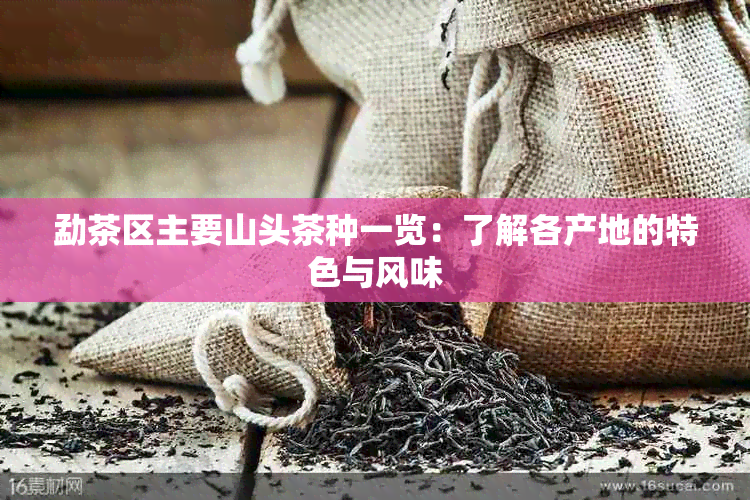 勐茶区主要山头茶种一览：了解各产地的特色与风味