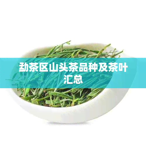 勐茶区山头茶品种及茶叶汇总